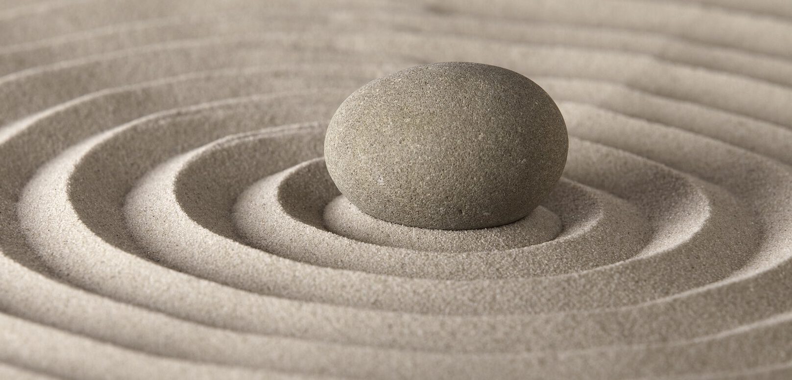 WERTEpur! Wertorientiertes systemisches  Coaching & Consulting